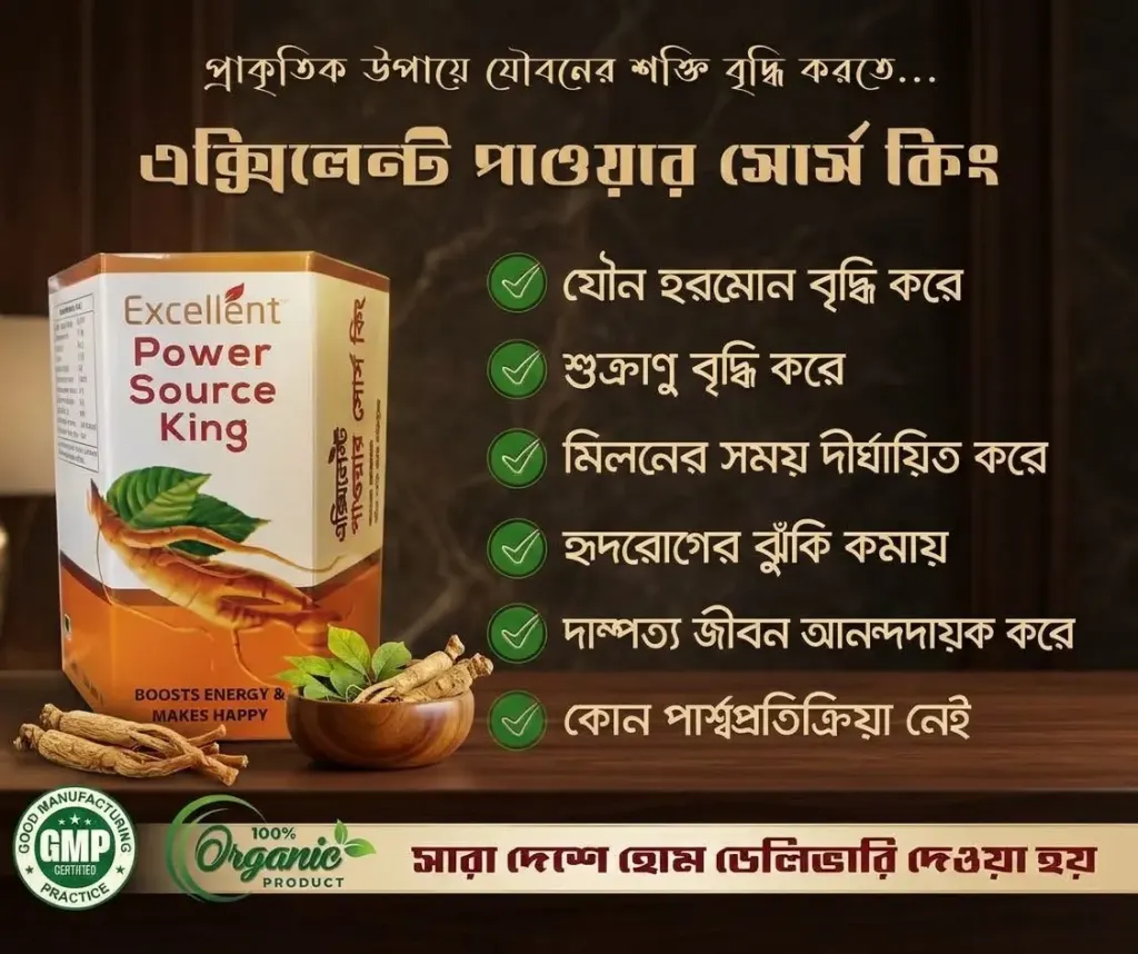 পাওয়ার সোর্স কিং (Power Source King)